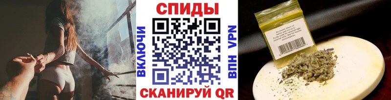 закладка  Бабушкин  Бутират BDO 