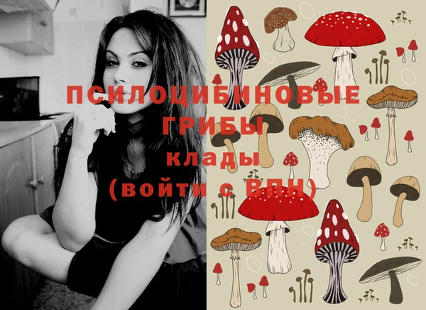 мяу мяу мука Калининец