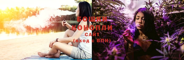 соль ск Алексеевка
